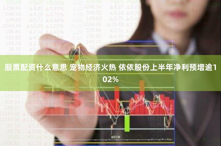 股票配资什么意思 宠物经济火热 依依股份上半年净利预增逾102%