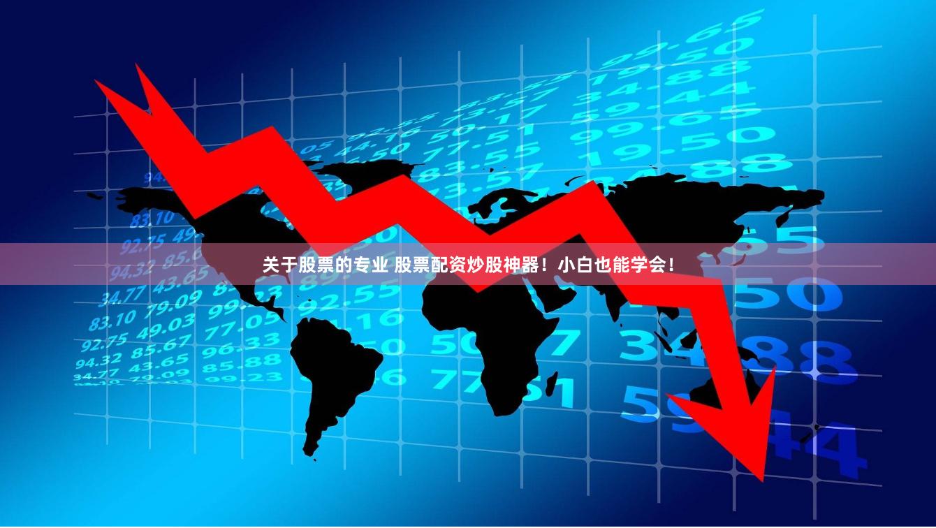关于股票的专业 股票配资炒股神器！小白也能学会！